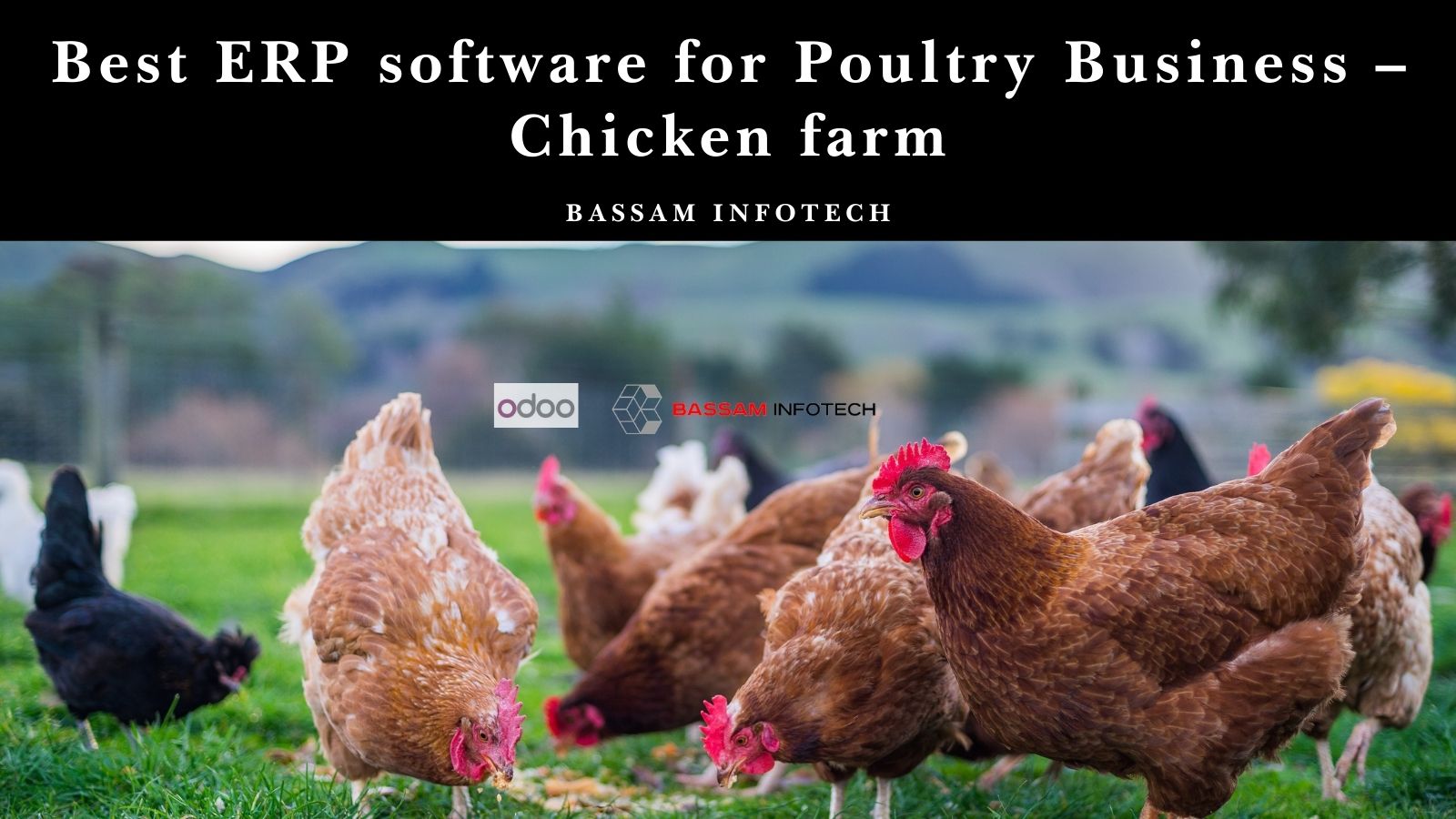 chicken farm erp free