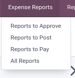 Reports on Expenses
