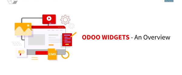 ODOO WIDGETS - AN OVERVIEW | Widgets in Odoo 15